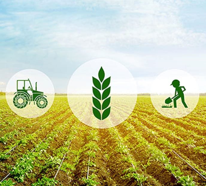 Agricultural Loans Empowering Growth and Harvest